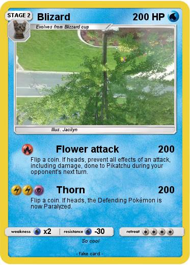 Pokemon Blizard