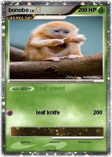 Pokemon bonobo