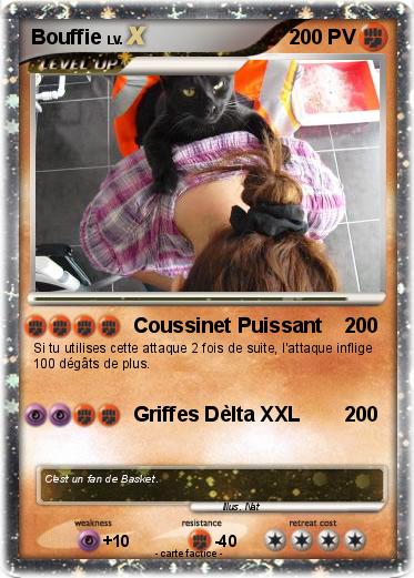 Pokemon Bouffie