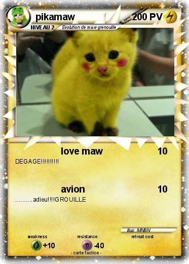 Pokemon pikamaw
