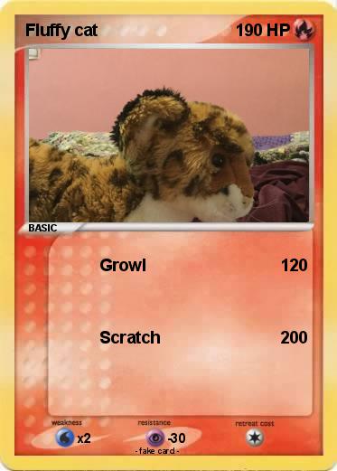 Pokemon Fluffy cat