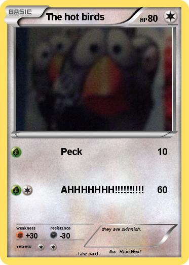 Pokemon The hot birds