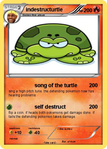 Pokemon indestructurtle