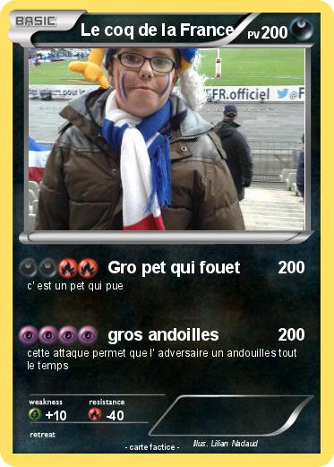 Pokemon Le coq de la France