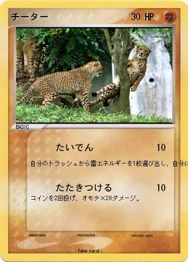 Pokemon チーター