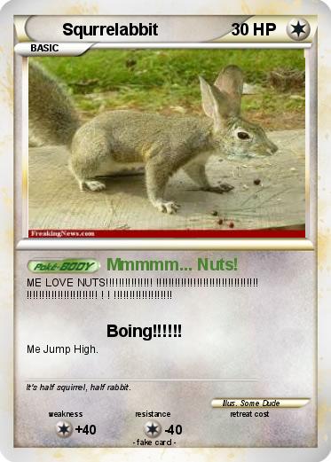Pokemon Squrrelabbit