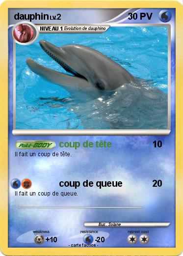 Pokemon dauphin