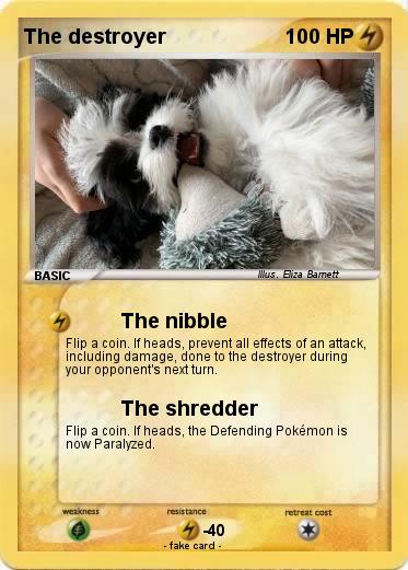 Pokemon The destroyer