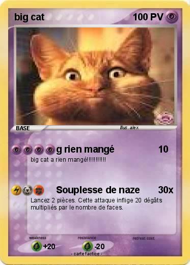 Pokemon big cat