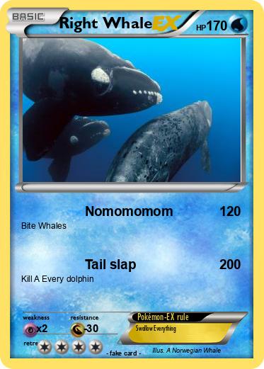 Pokemon Right Whale