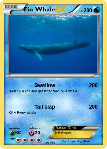 Pokemon Fin Whale