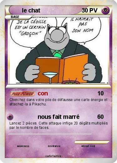 Pokemon le chat