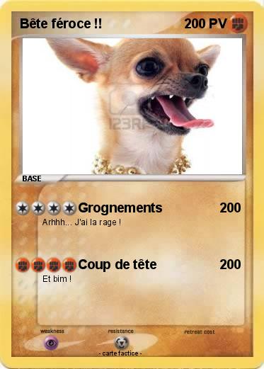 Pokemon Bête féroce !!