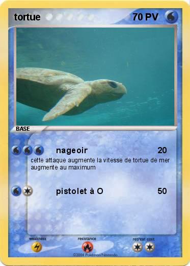 Pokemon tortue