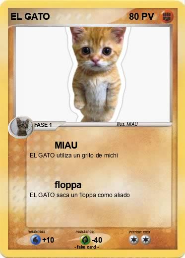 Pokemon EL GATO