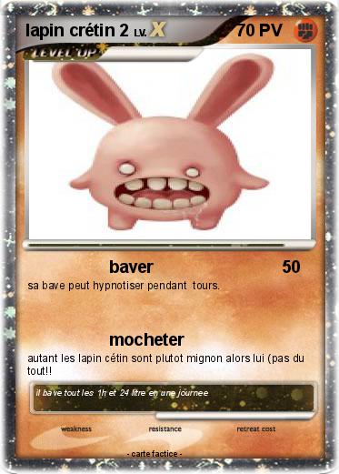 Pokemon lapin crétin 2