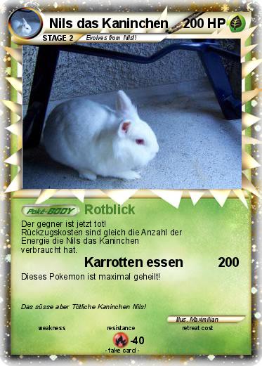 Pokemon Nils das Kaninchen
