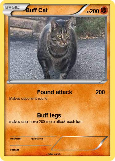 Pokemon Buff Cat