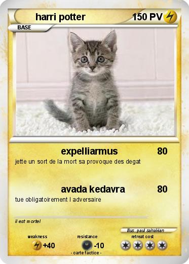 Pokemon harri potter