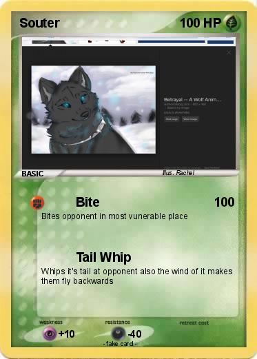 Pokemon Souter