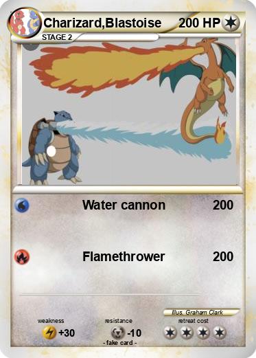 Pokemon Charizard,Blastoise