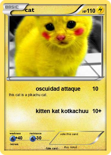Pokemon cat