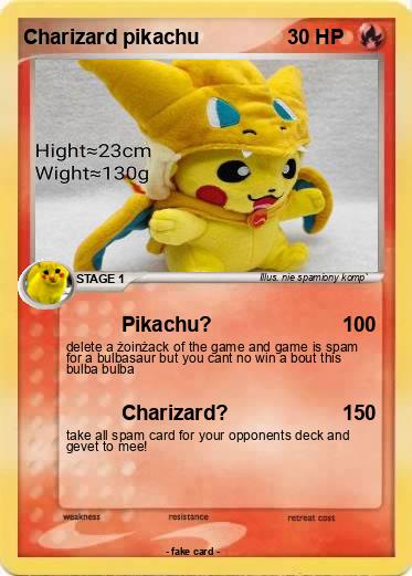 Pokemon Charizard pikachu