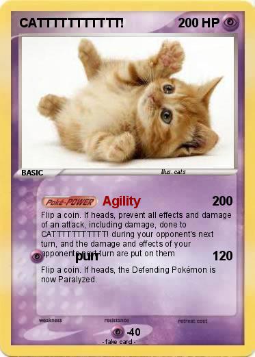 Pokemon CATTTTTTTTTTT!