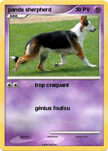 Pokemon panda sherpherd