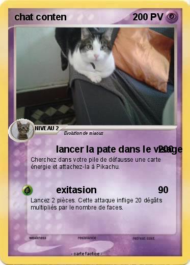 Pokemon chat conten