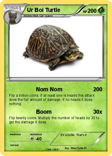 Pokemon Ur Boi Turtle