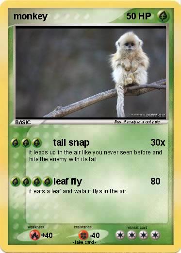 Pokemon monkey