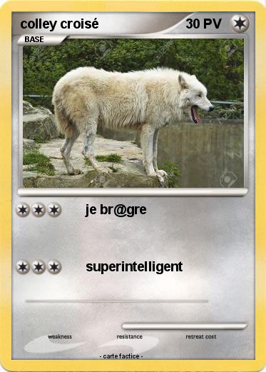 Pokemon colley croisé