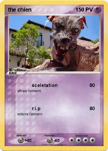 Pokemon the chien