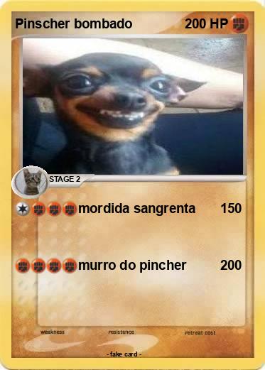 Pokemon Pinscher bombado