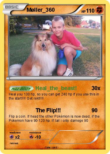 Pokemon Møller_360