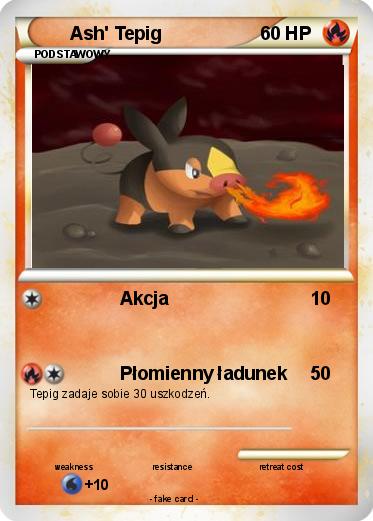 Pokemon Ash' Tepig