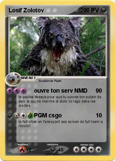 Pokemon Losif Zolotov