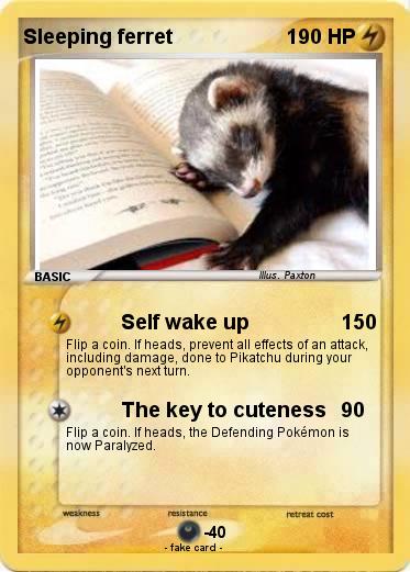 Pokemon Sleeping ferret