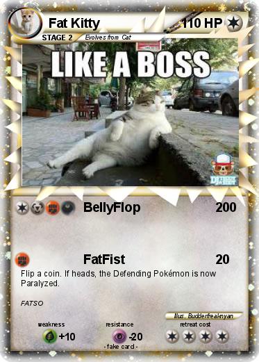 Pokemon Fat Kitty