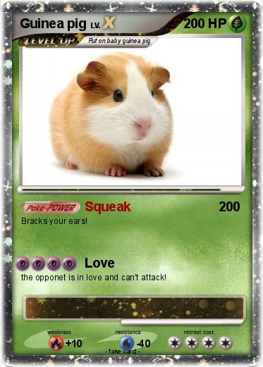 Pokemon Guinea pig