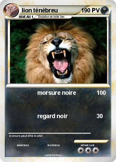 Pokemon lion ténébreu