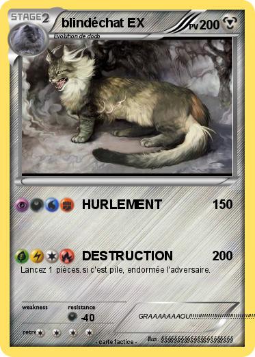 Pokemon blindéchat EX