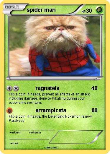 Pokemon spider man