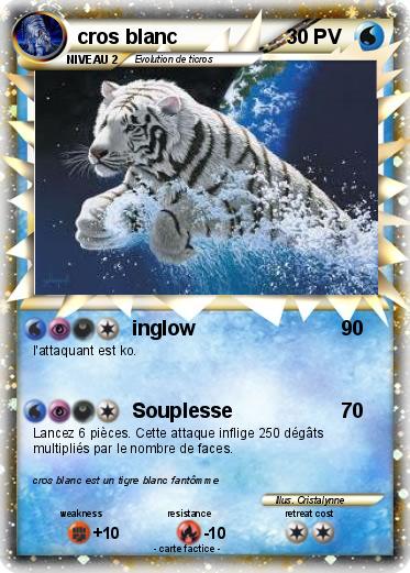 Pokemon cros blanc