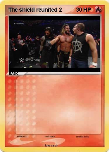 Pokemon The shield reunited 2