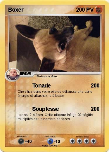 Pokemon Boxer