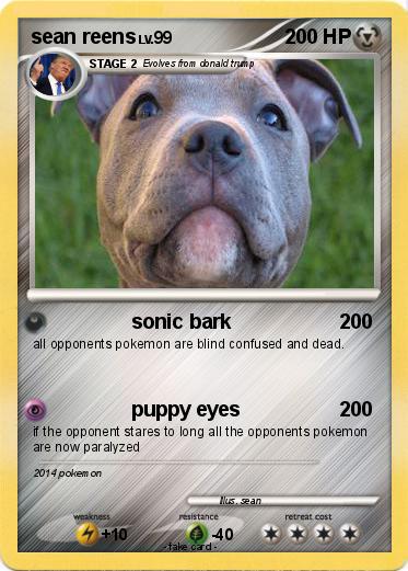 Pokemon sean reens