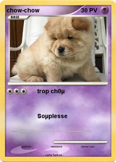 Pokemon chow-chow