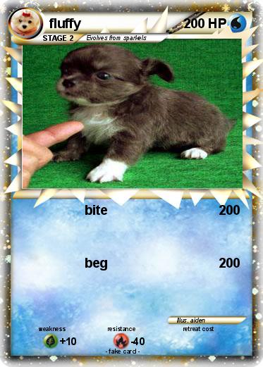 Pokemon fluffy